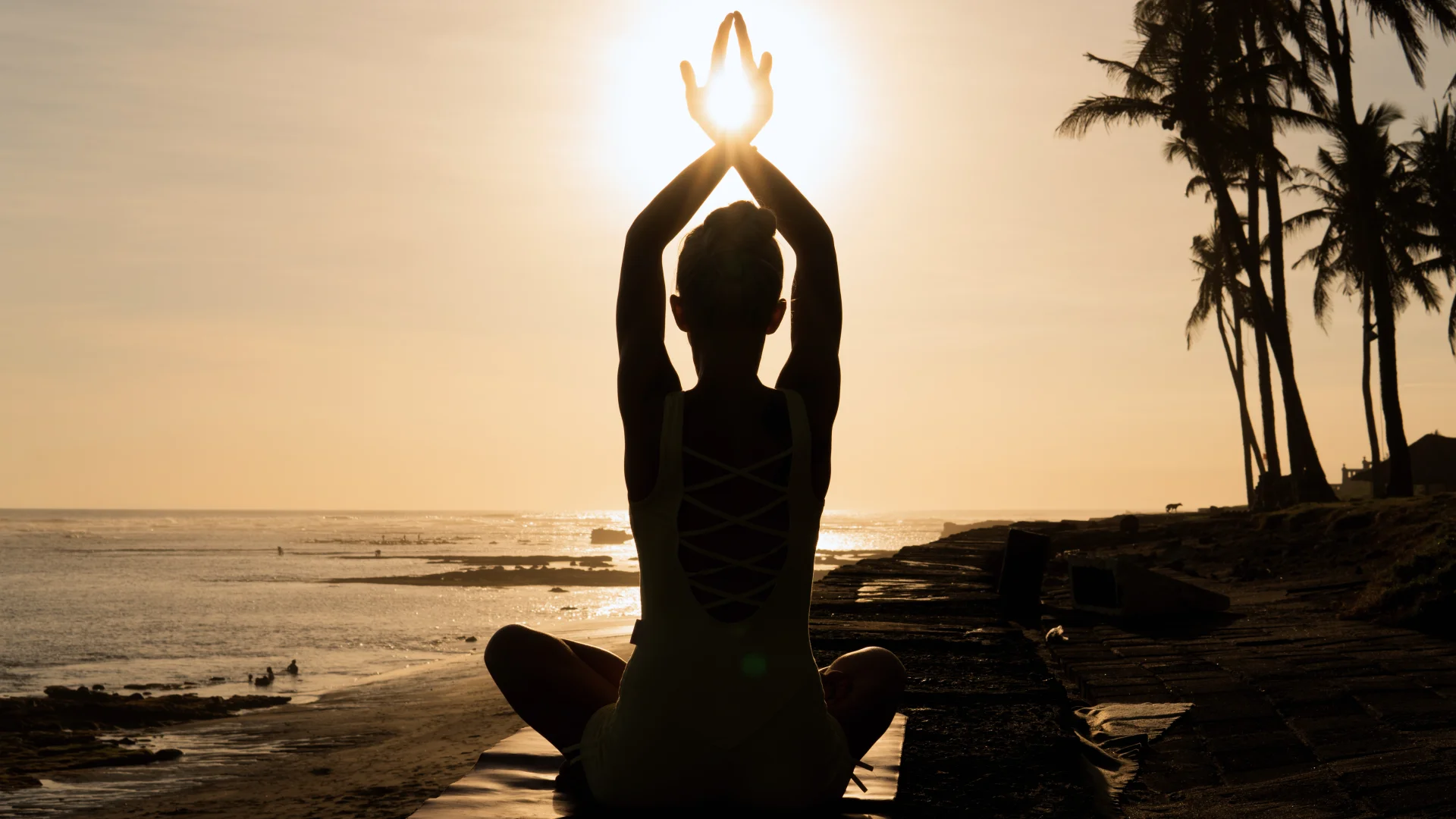Meditasyon Nedir?
