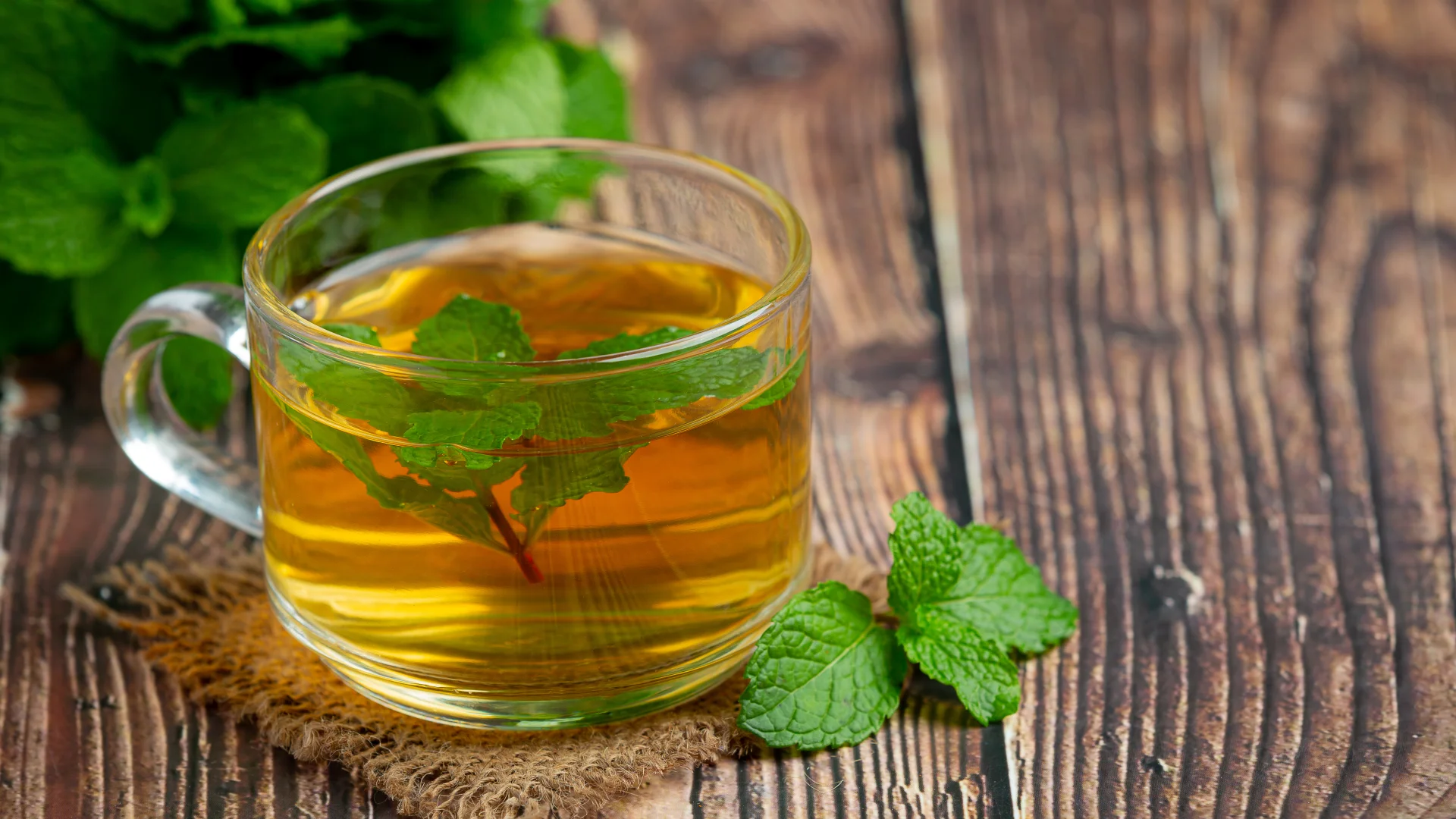 Metabolizma Hızlandırıcı Detoks Tarifi